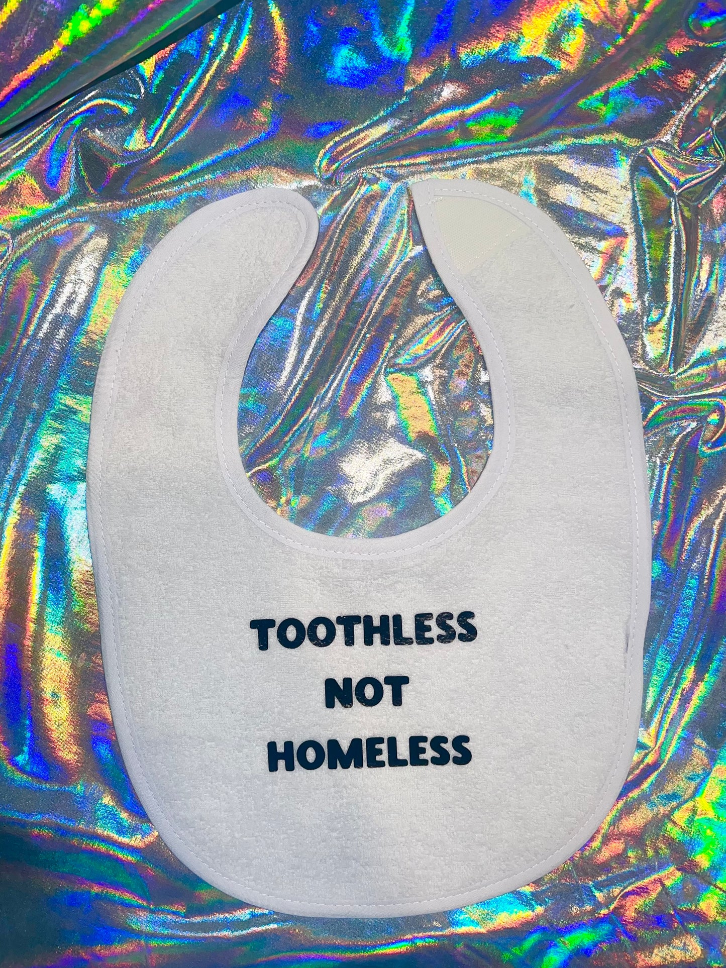 Toothless Not Homeless Baby Bib