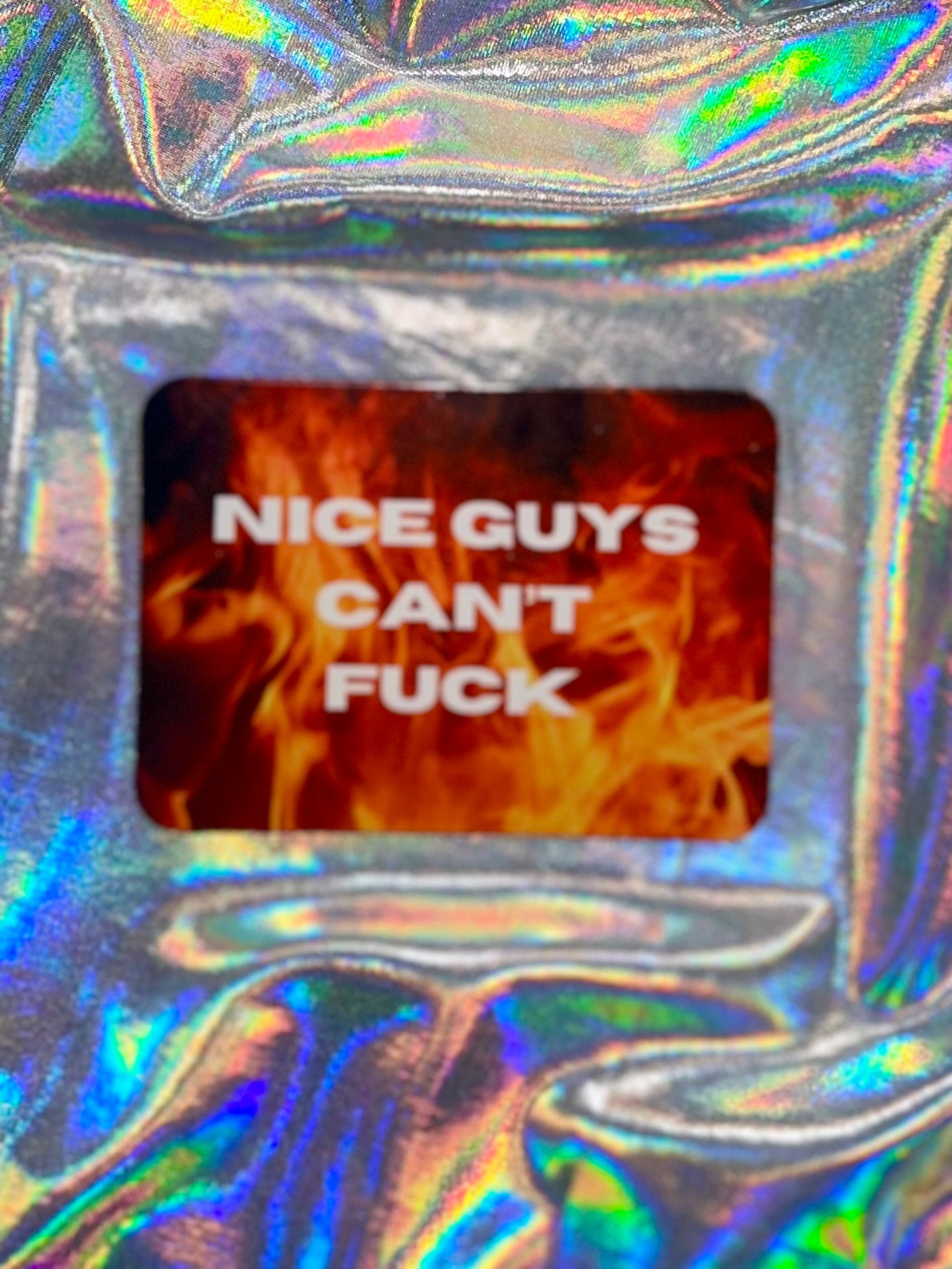 Nice Guys Can't F**k Fridge Magnet