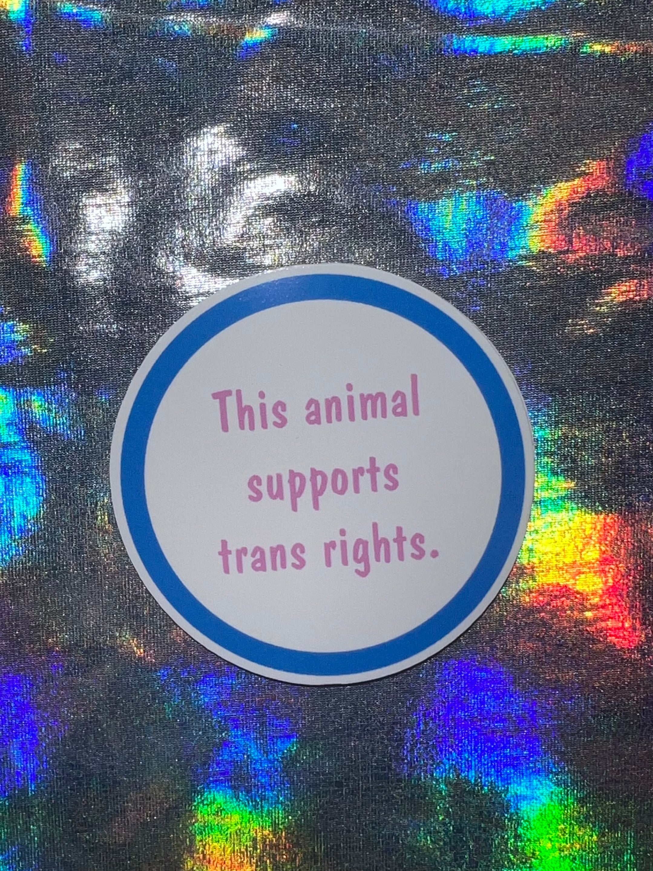 Trans Rights, Pride Sticker – MP Bag Makers