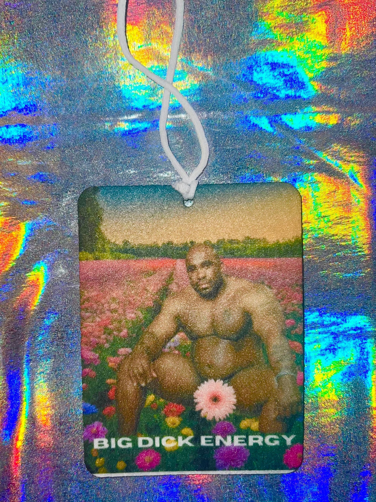 Big Dick Energy Barry Wood Meme Funny Car Air Freshener